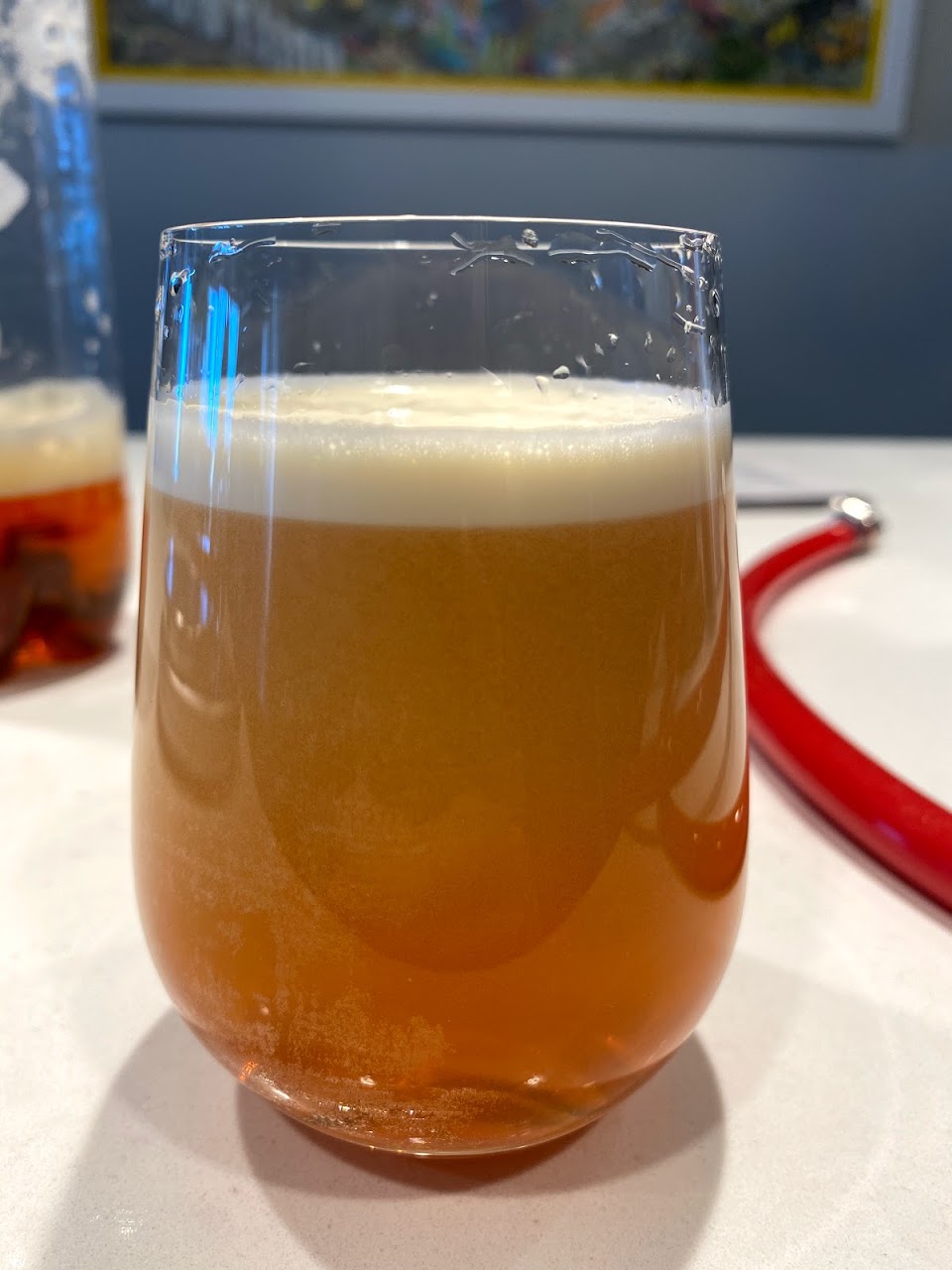 Nitro cold-brew rooibos tea